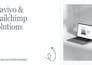 professional, clean and high converting email newsletters